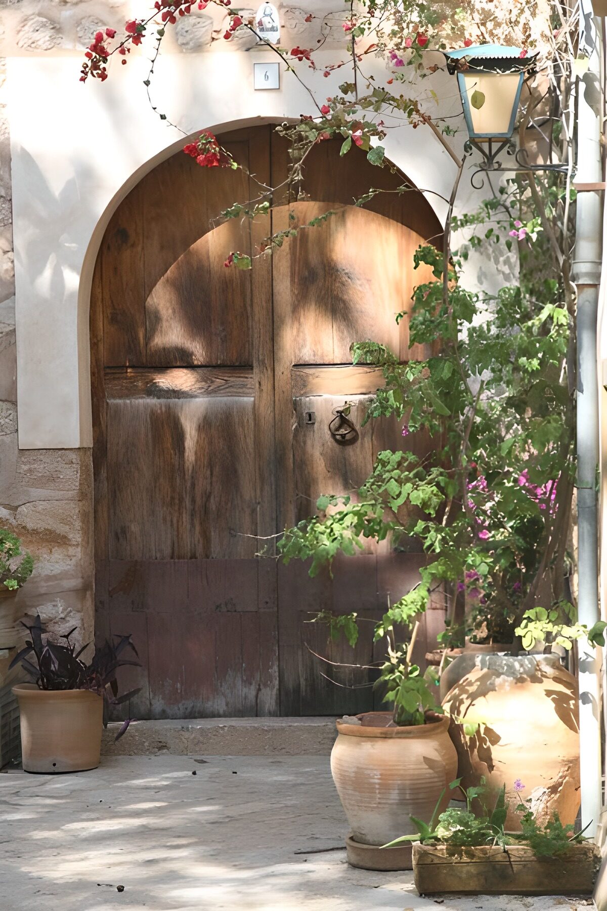 TPFR42945: Grande porte en bois surmontée d'une lanterne et bordée de plantes et de pots 1