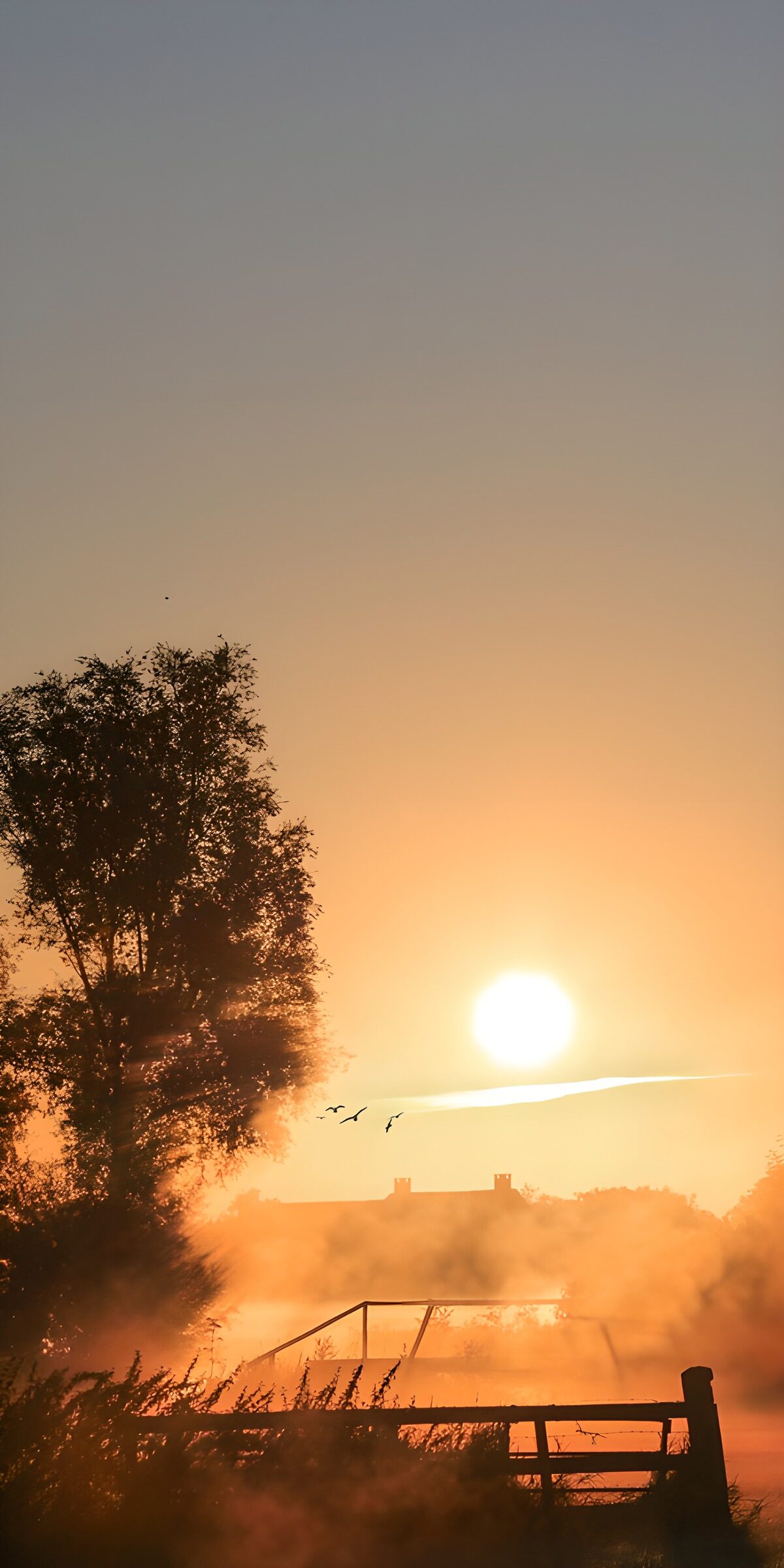 TPFR24194: Lever de soleil mystique sur le lac