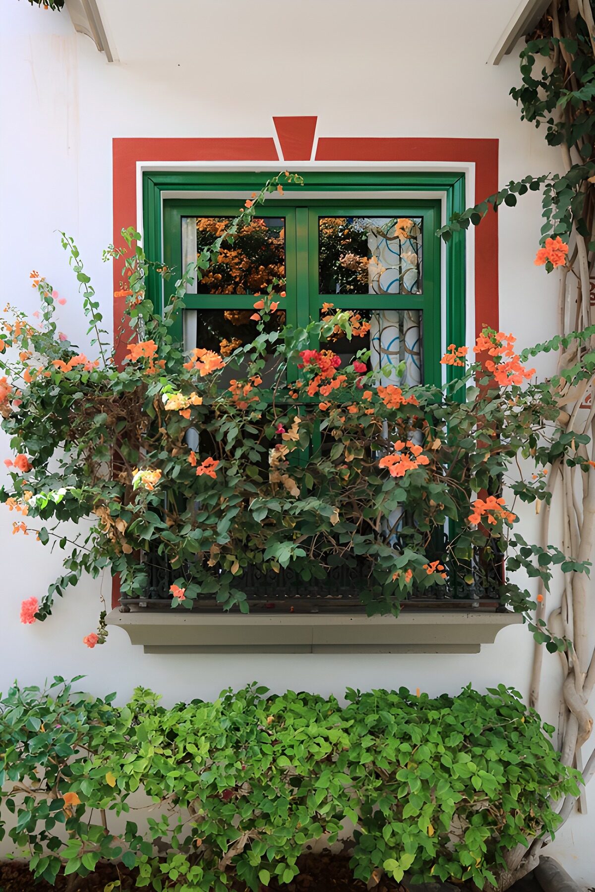 TPFR30988: Fenêtre colorée avec fleurs vibrantes