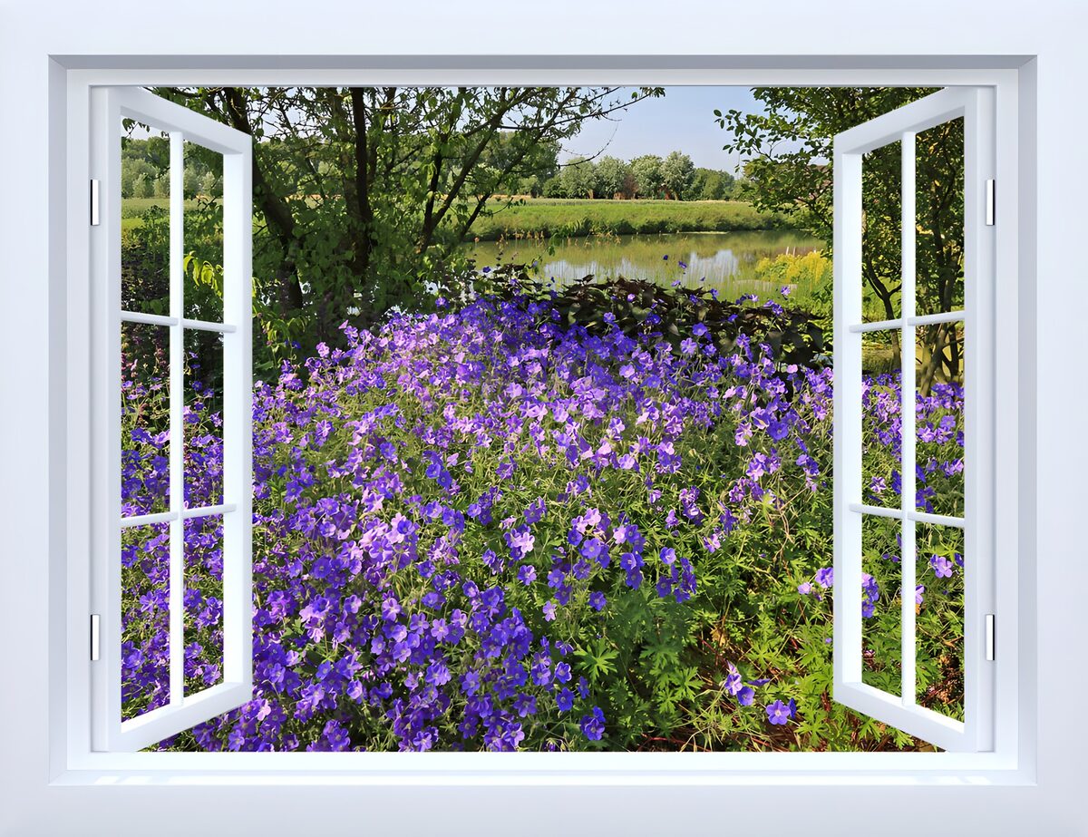 TPFR47533: Vue sur un jardin fleuri
