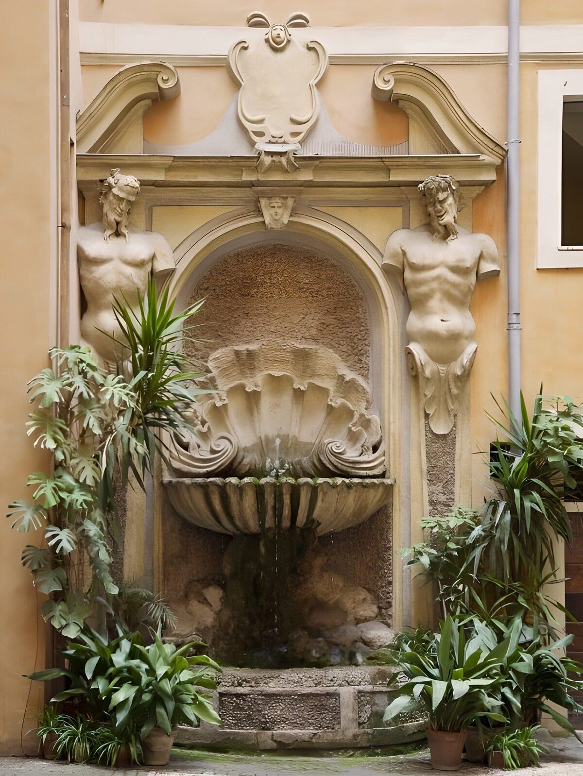 TPFR15766: Fontaine ornée d'une coquille