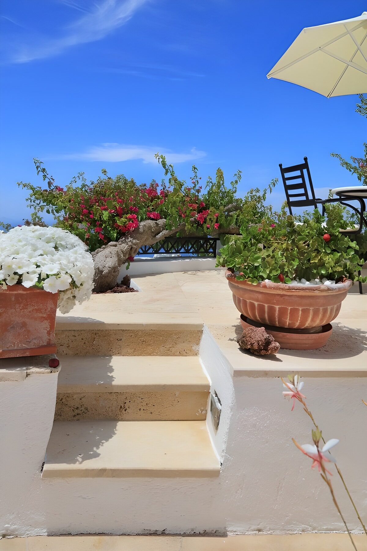 TPFR36565: Escalier ensoleillé vers le jardin