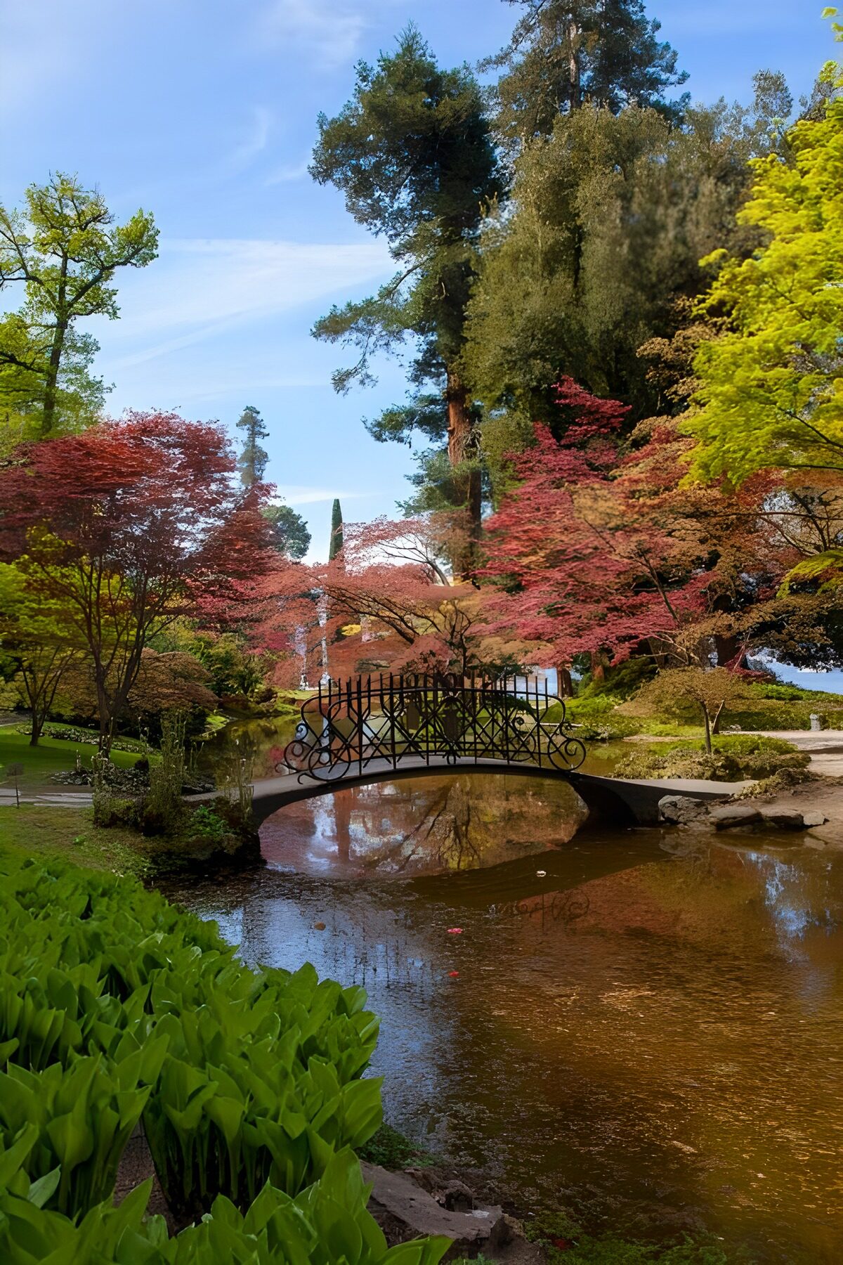Jardin paisible avec un pont charmant