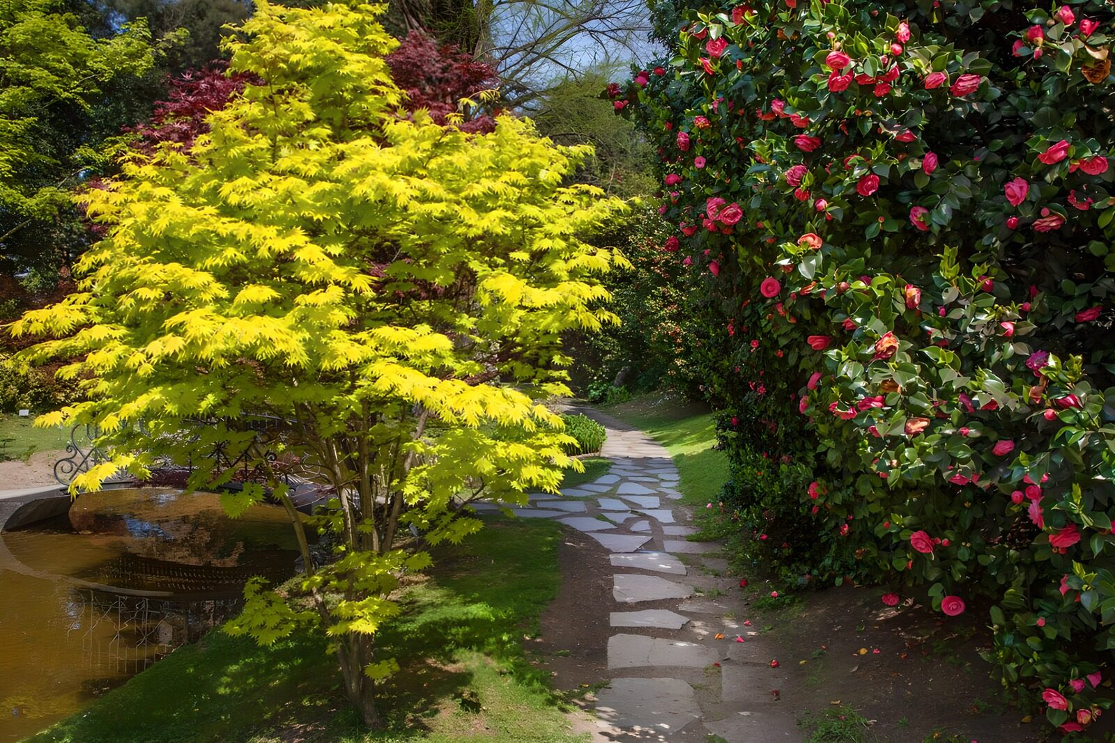 TPFR14050: Jardin de couleurs printanières