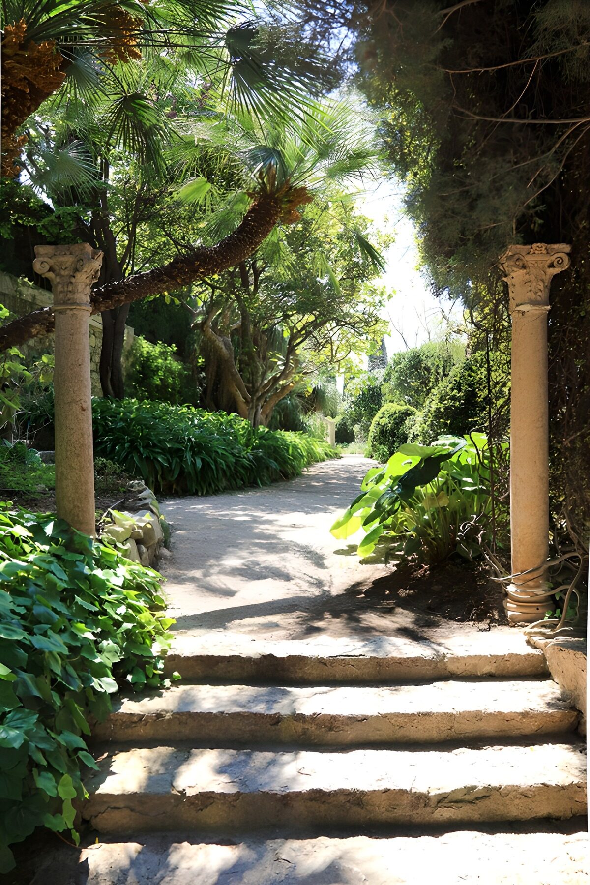 TPFR62646: Sentier de jardin pittoresque