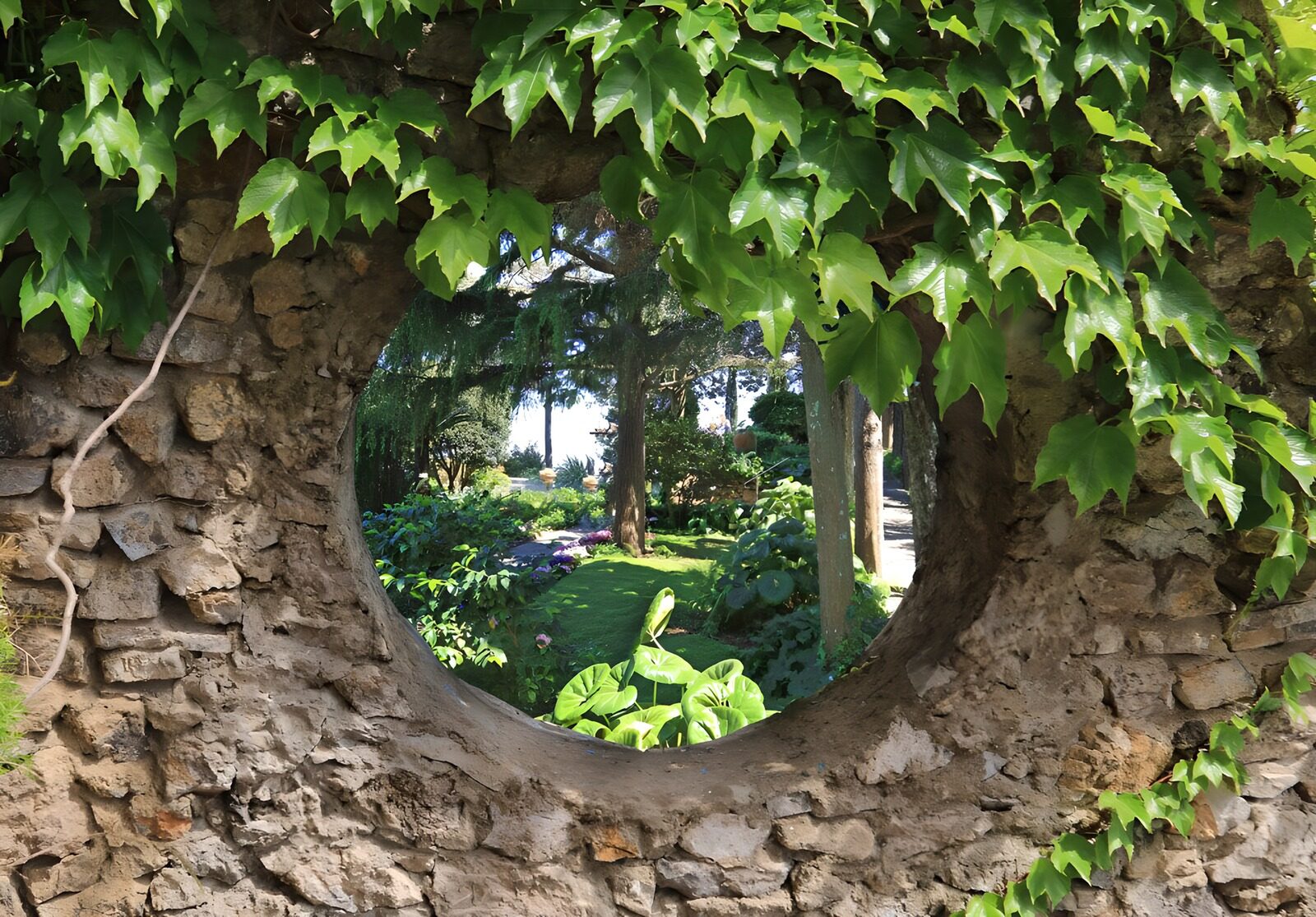 TPFR33182: Vue circulaire sur le jardin verdoyant