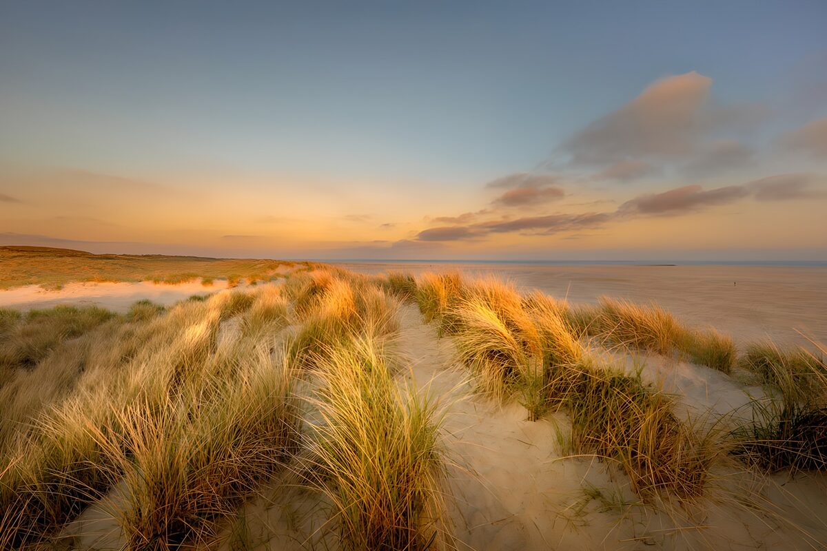 TPFR87483: Dunes en douceur de l’aube