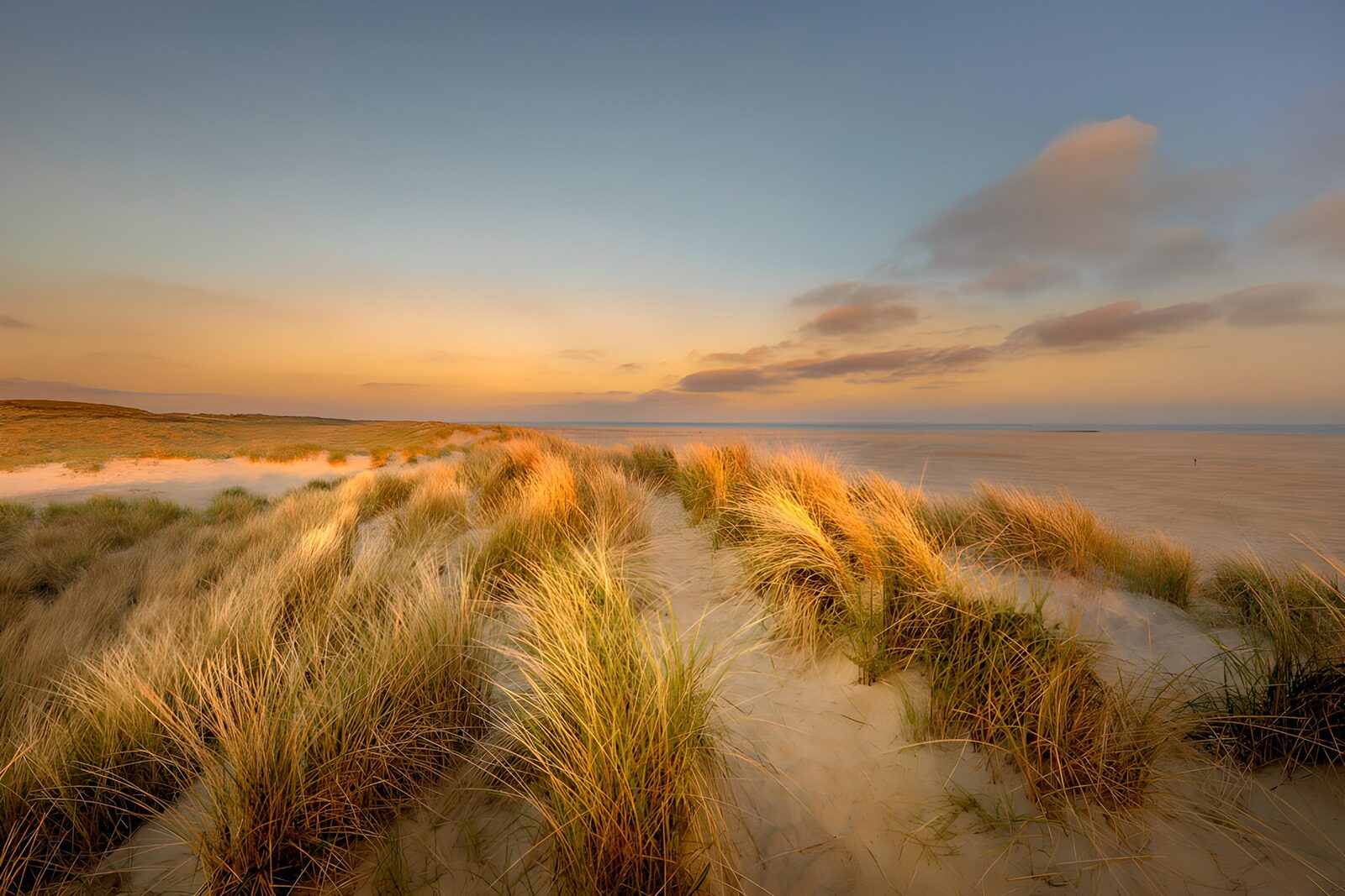 TPFR87483: Dunes en douceur de l’aube
