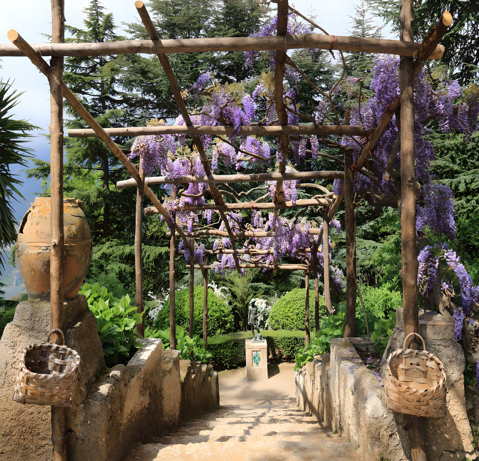 TPFR40152: Chemin fleuri sous les glycines