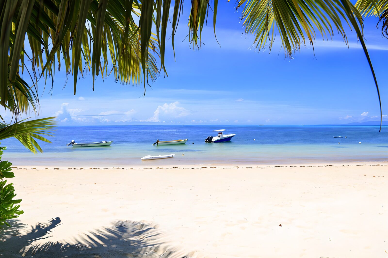 TPFR97346: Plage tranquille avec bateaux colorés