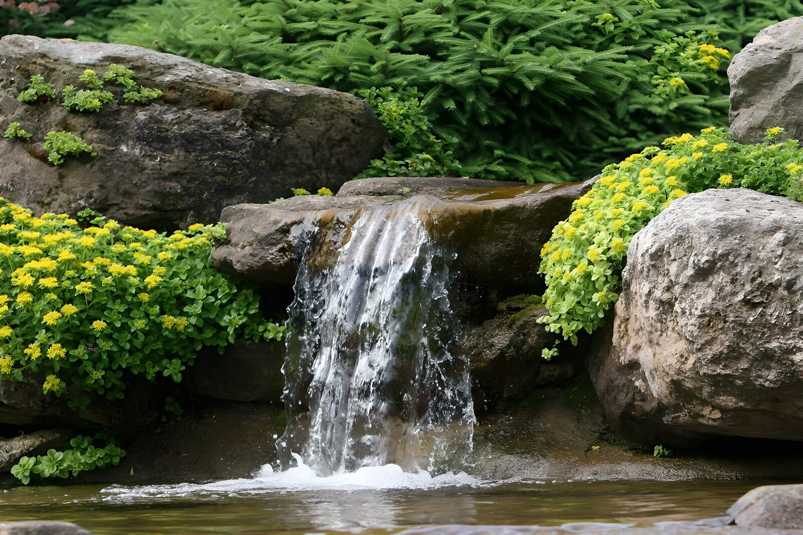 TPFR72307: Cascade paisible au milieu des fleurs
