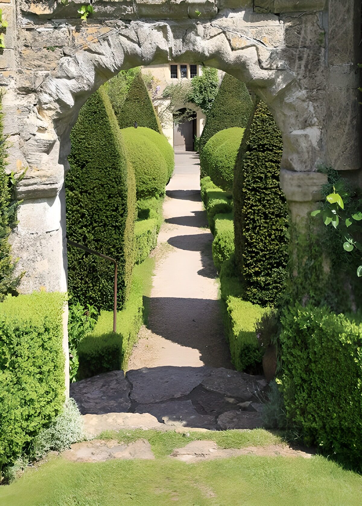 TPFR50618: Jardins enchanteurs sous un arc