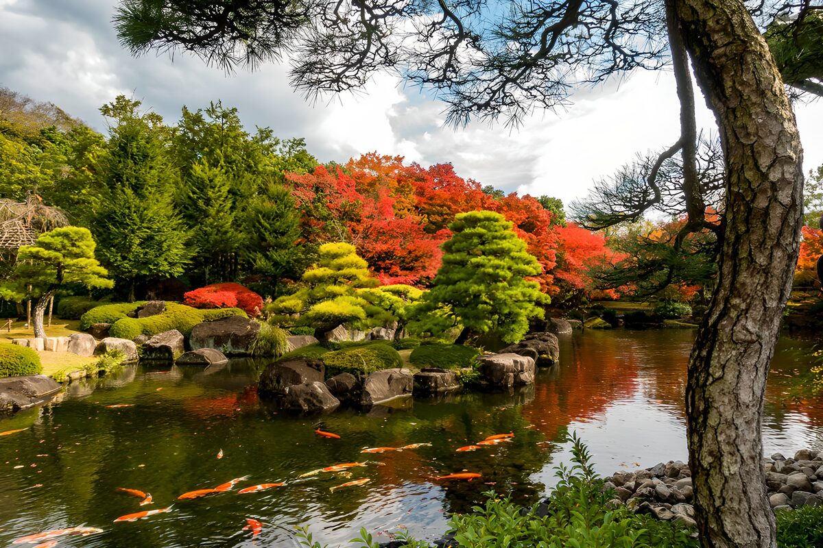 Jardin paisible aux couleurs d'automne