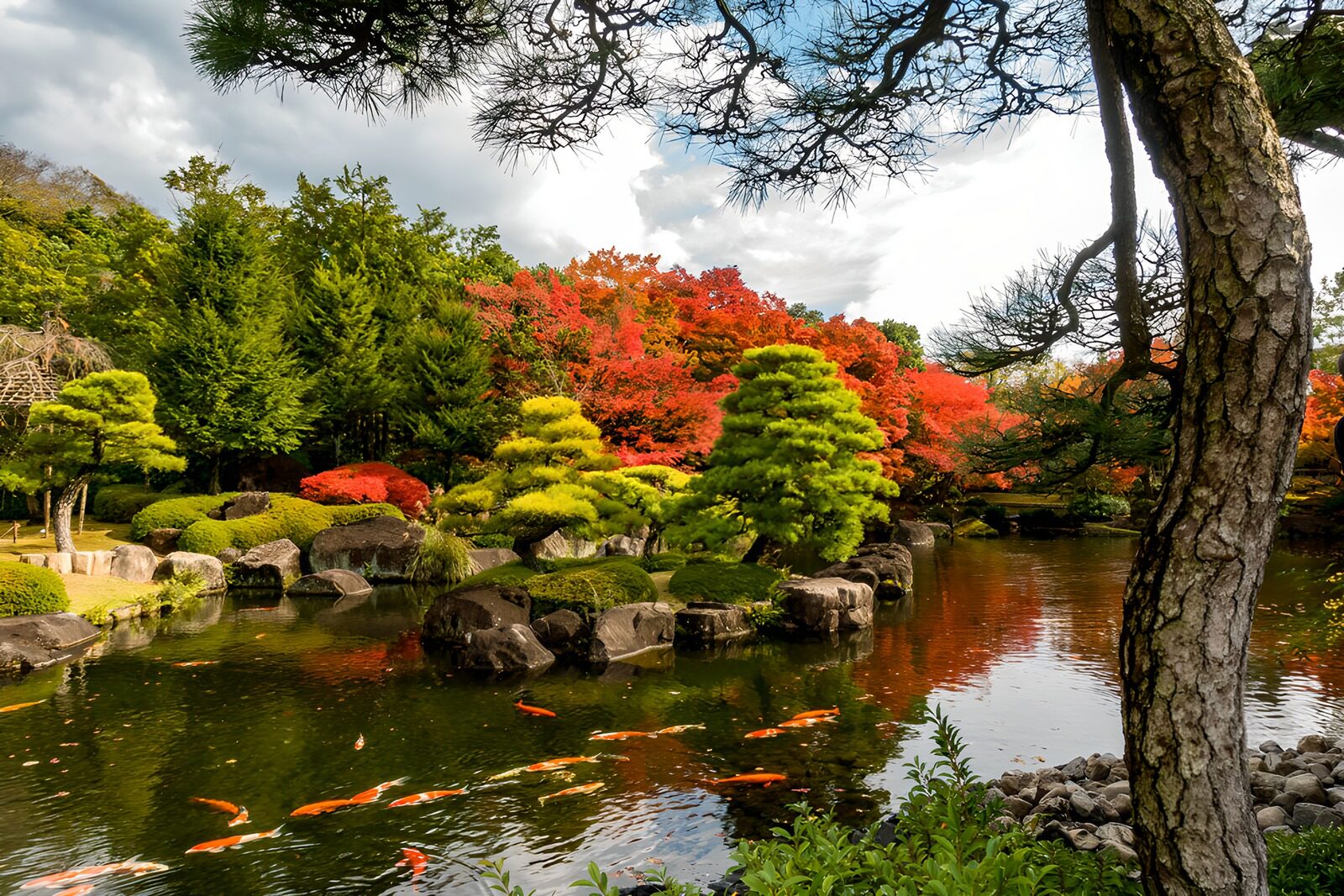 TPFR55421: Jardin paisible aux couleurs d'automne