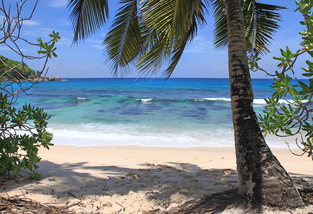 TPFR80728: Plage paradisiaque au bord de l'océan