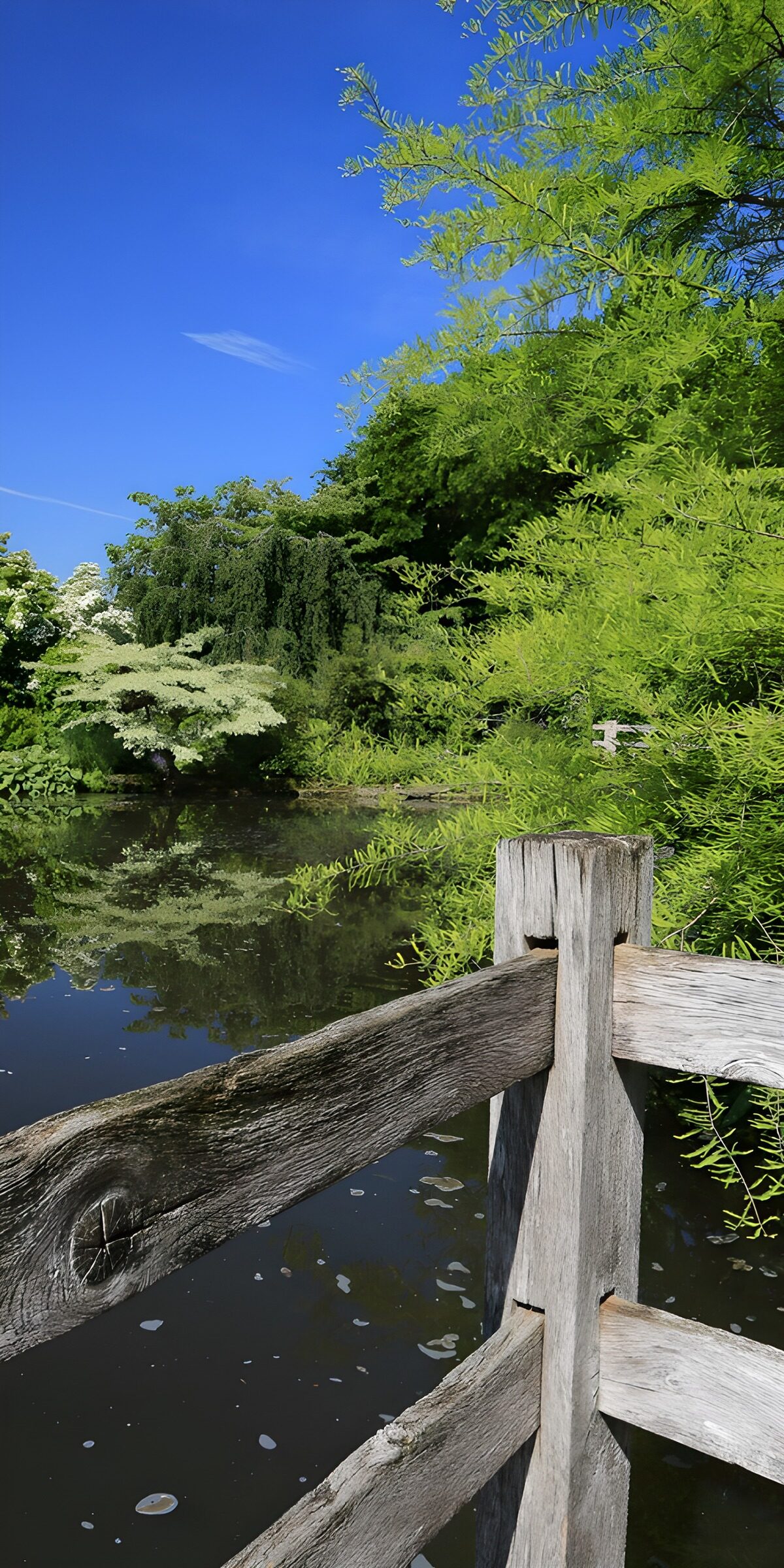 TPFR99968: Reflet tranquille au bord de l'eau