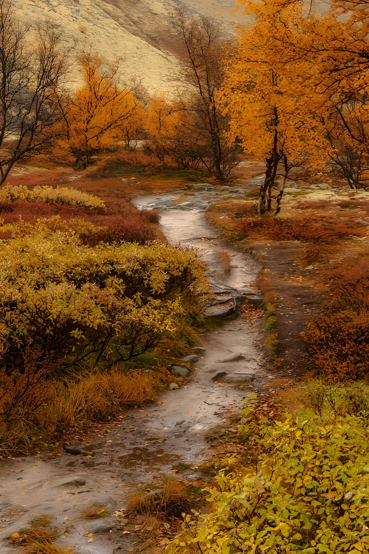TPFR61105: Chemin par les couleurs de l'automne