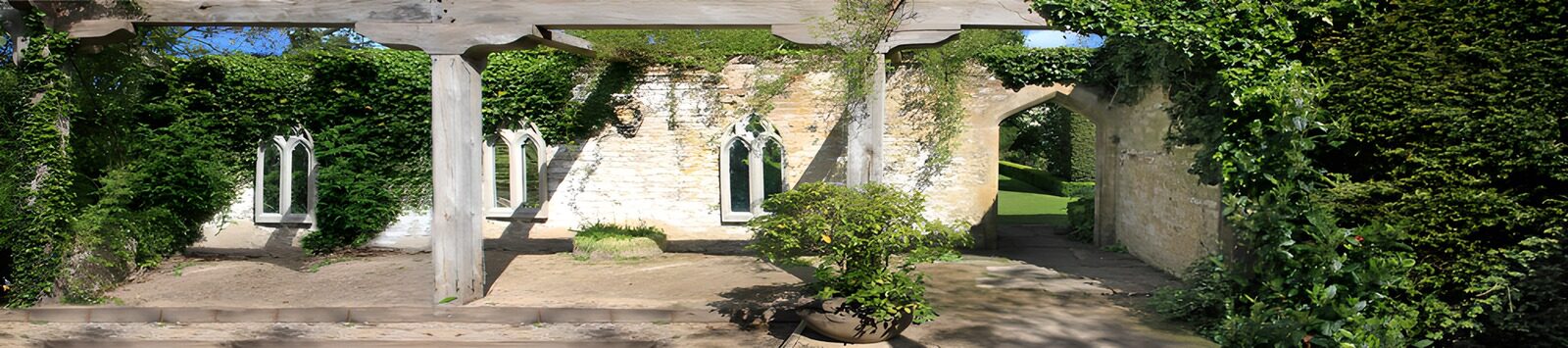 TPFR19913: Ruines enveloppées de verdure