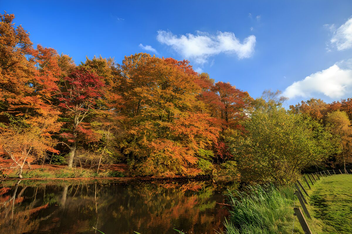 TPFR73007: Automne paisible au bord de l'eau