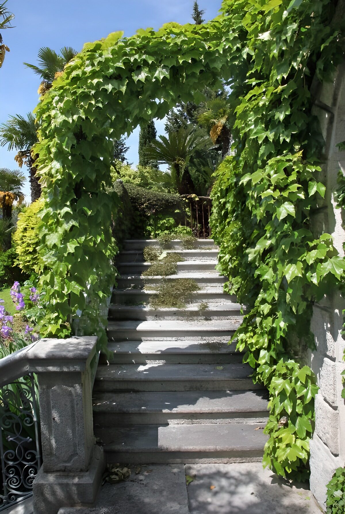 TPFR50170: Escalier sous un arc de verdure