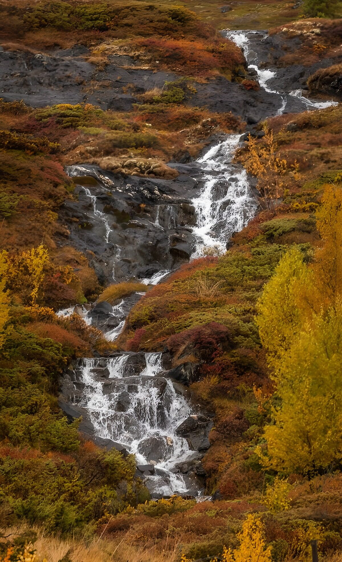 TPFR73069: Cascade en automne majestueuse