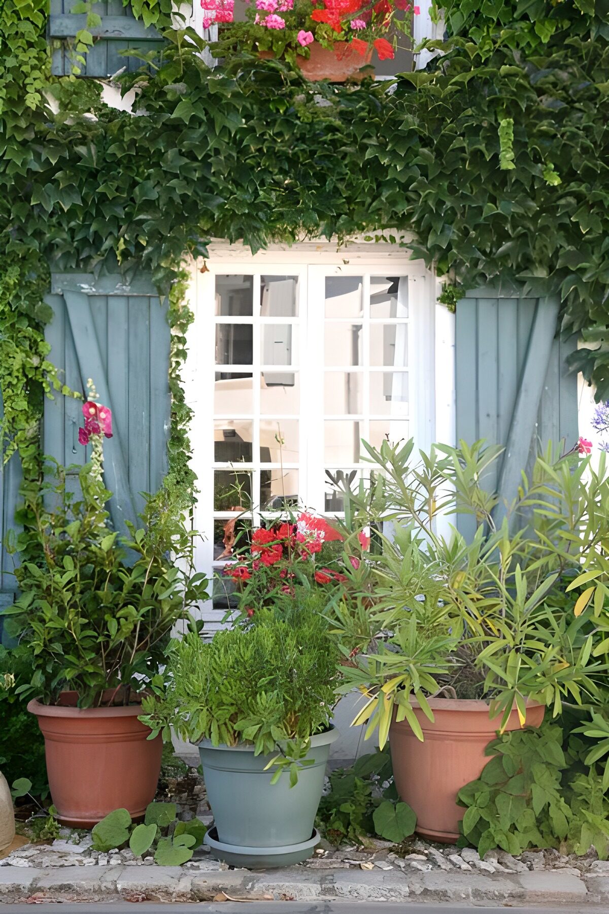 Plantes et fleurs garnissant la façade d'une maison aux volets bleus
