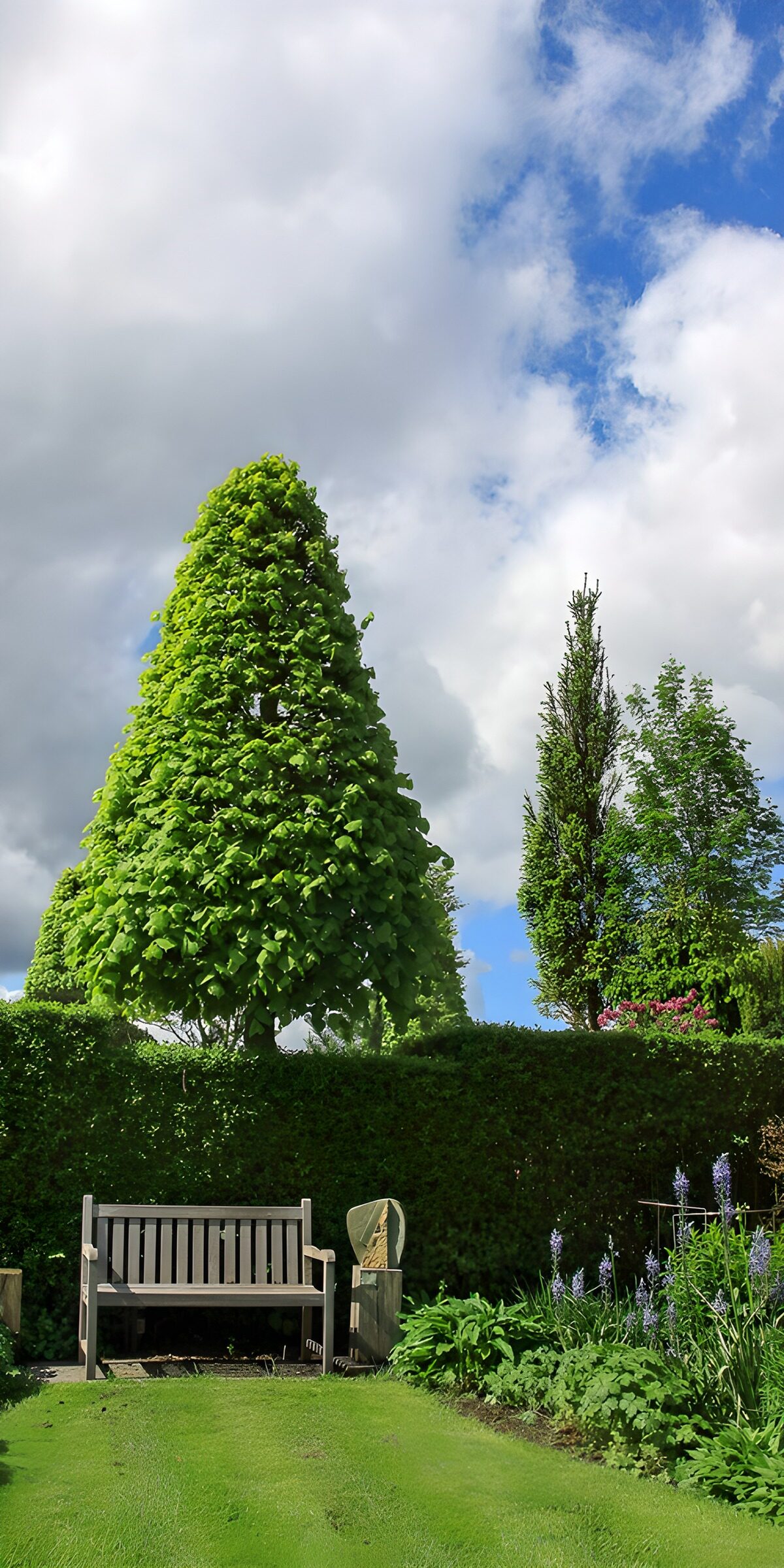 TPFR20893: Banc paisible dans un jardin verdoyant