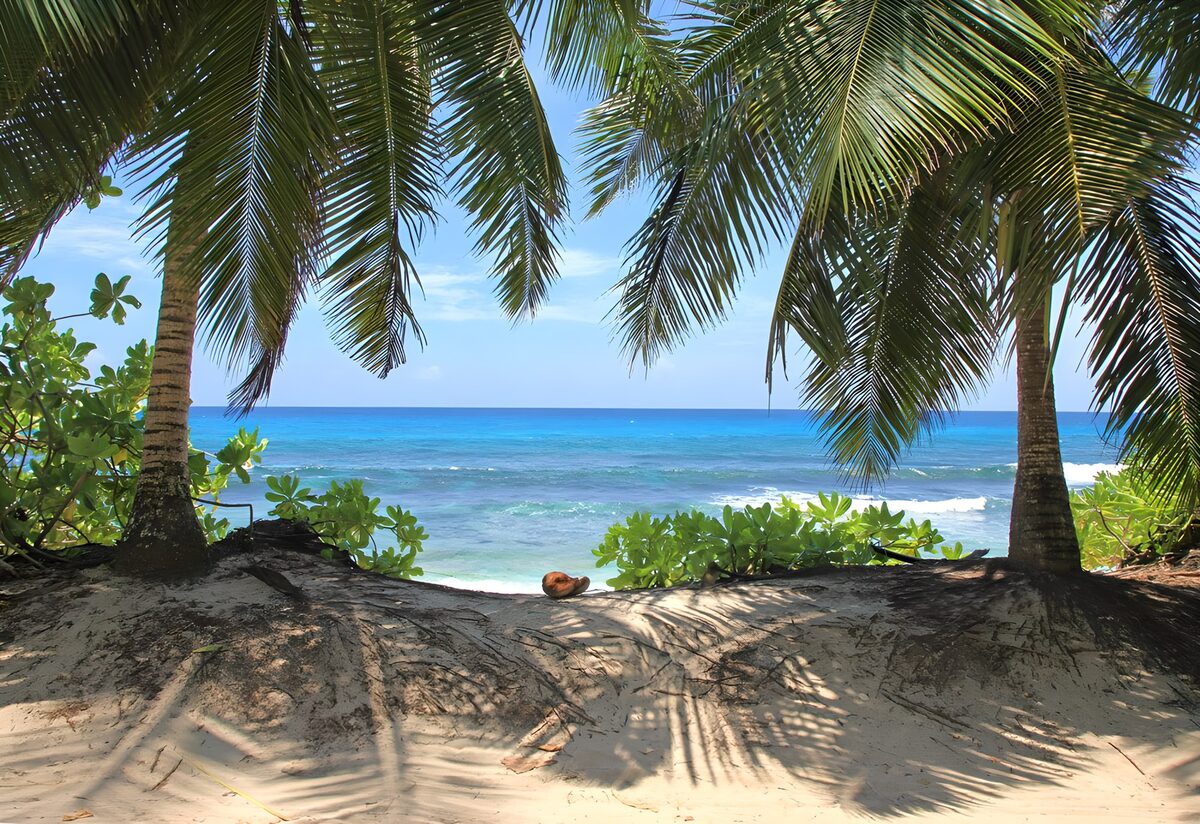 TPFR89675: : Paradis tropical ensoleillé