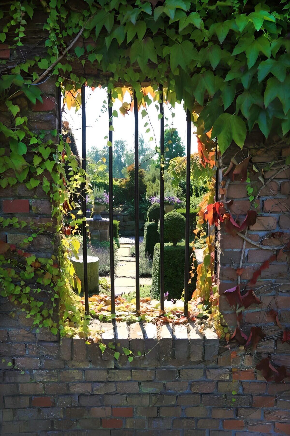 TPFR36416: Fenêtre sur un jardin secret
