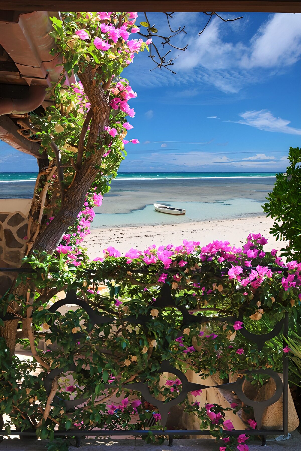 TPFR44431: Vue enchanteresse sur la mer bleue