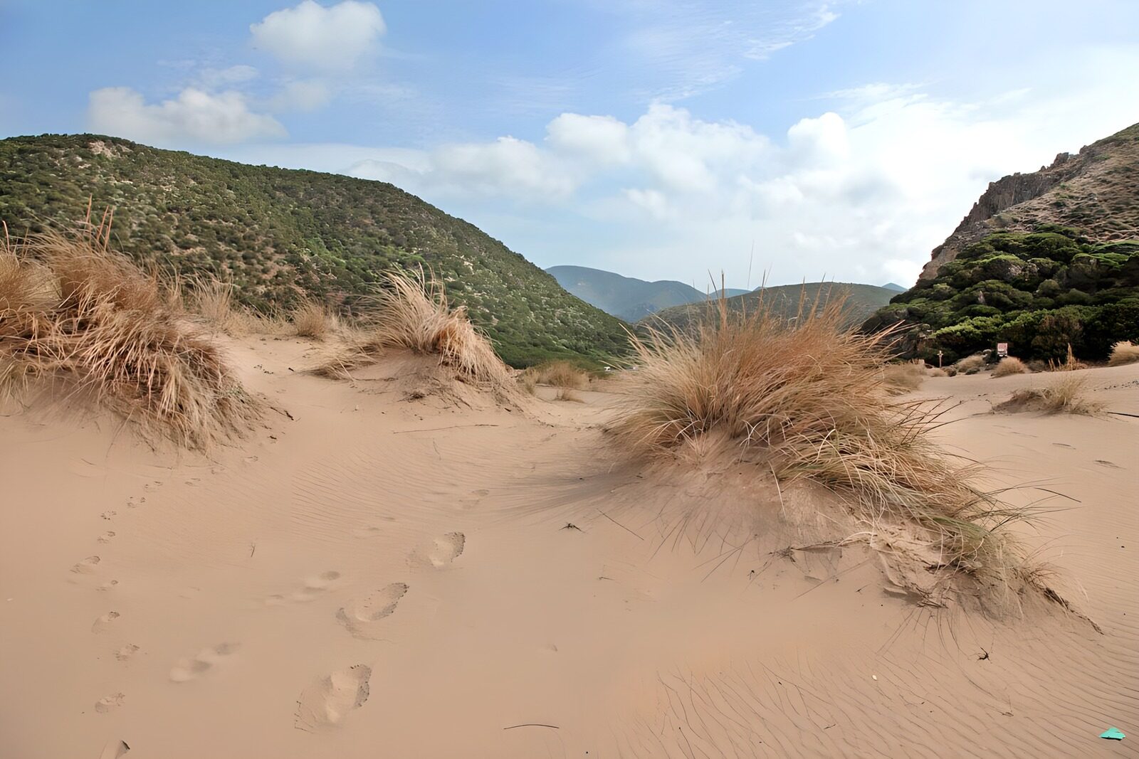 TPFR67724: Dunes paisibles dans la nature verdoyante