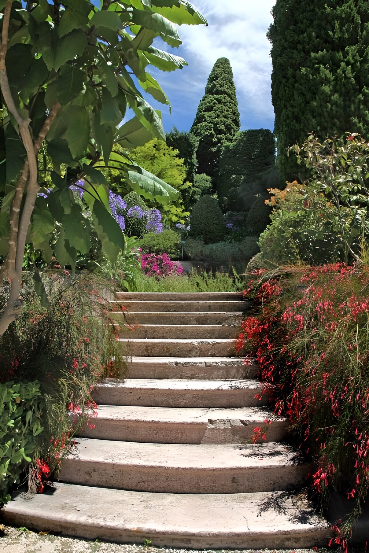 TPFR95982: Escaliers dans un jardin fleuri