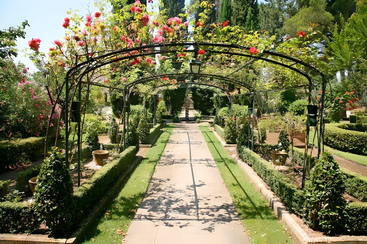 TPFR88200: Vue sur un jardin à la française à travers des arches garnies de roses version 3