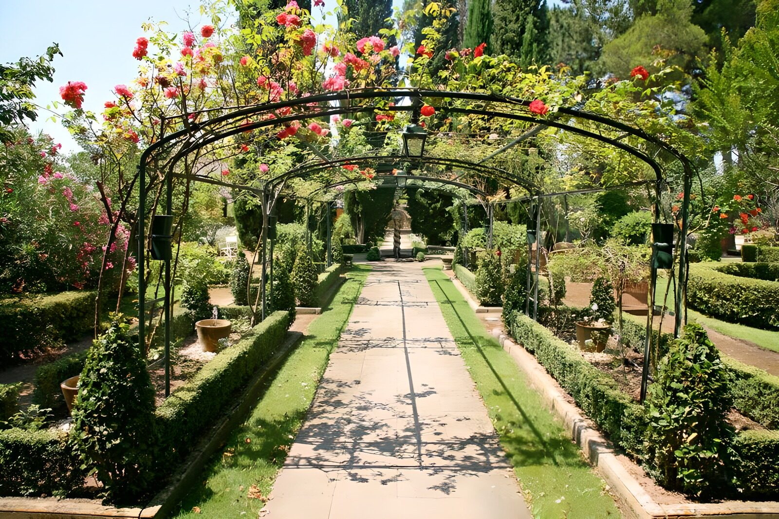 TPFR88200: Vue sur un jardin à la française à travers des arches garnies de roses version 3