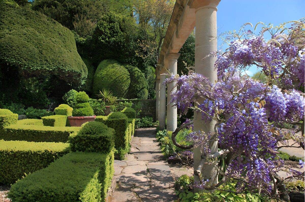 TPFR55299: Jardin idyllique avec glycine fleurie