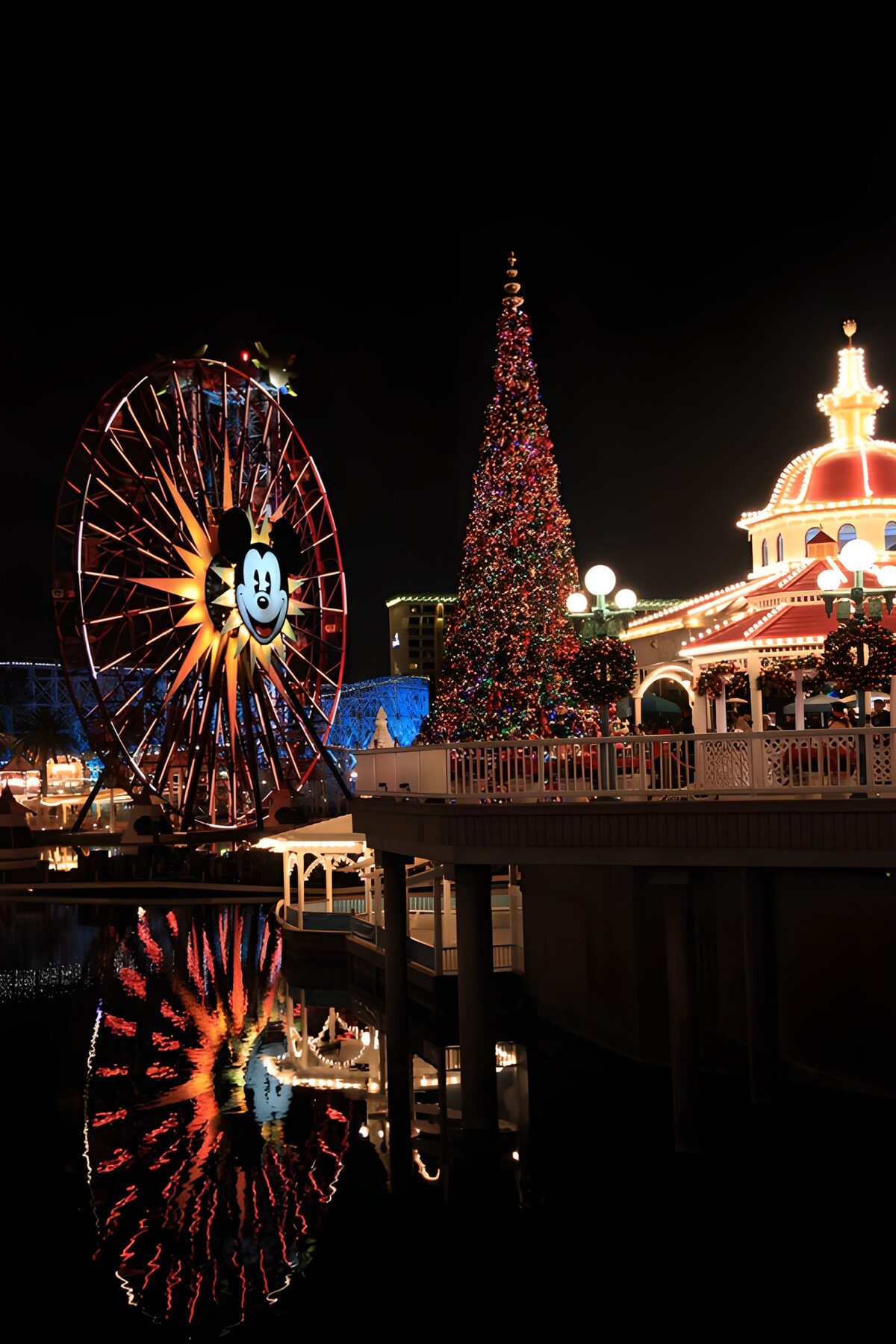 TPFR70174: Magie de Noël à Disneyland