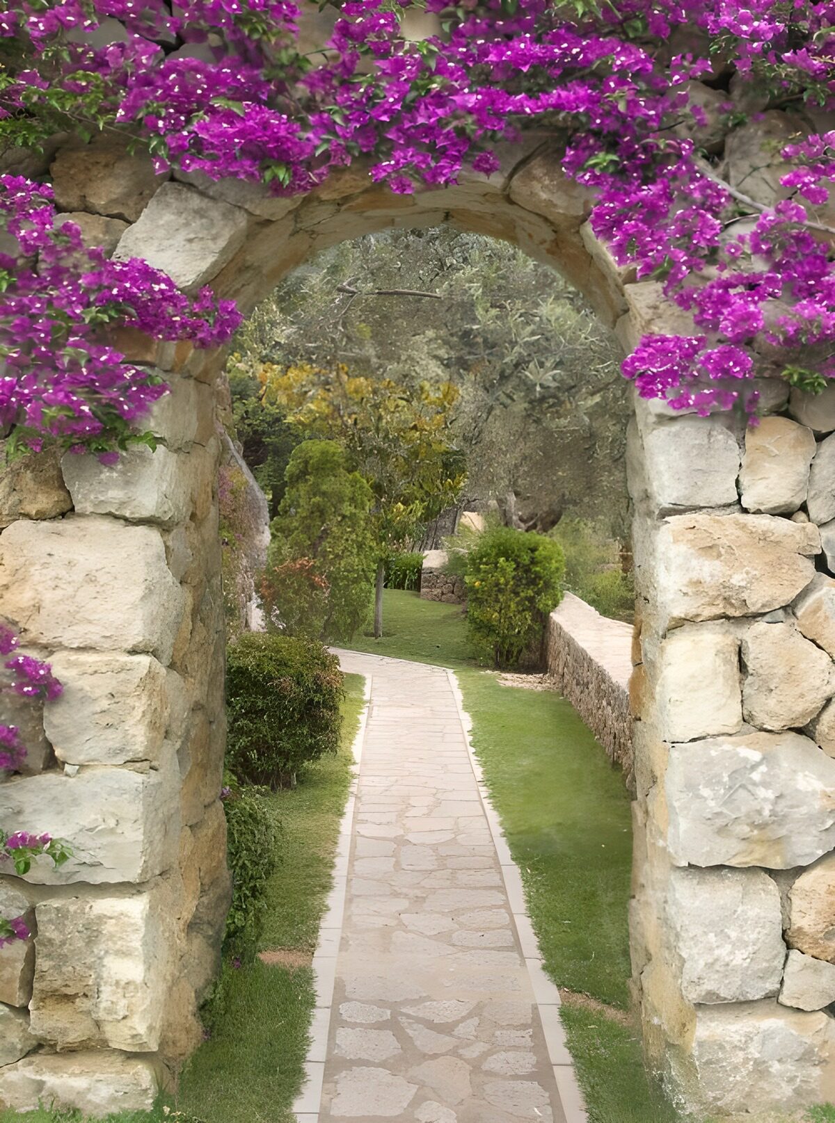 TPFR39038: Passerelle des fleurs violettes
