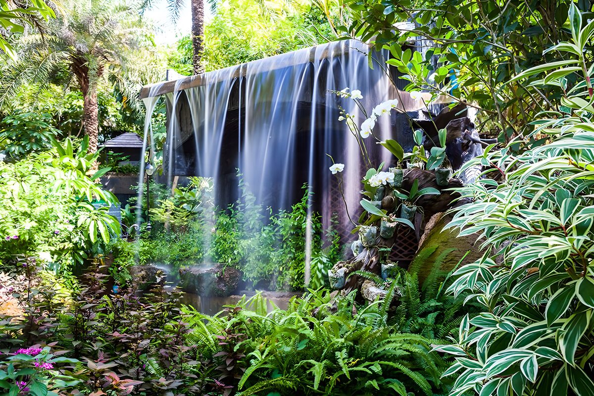 Cascade paisible dans un jardin luxuriant