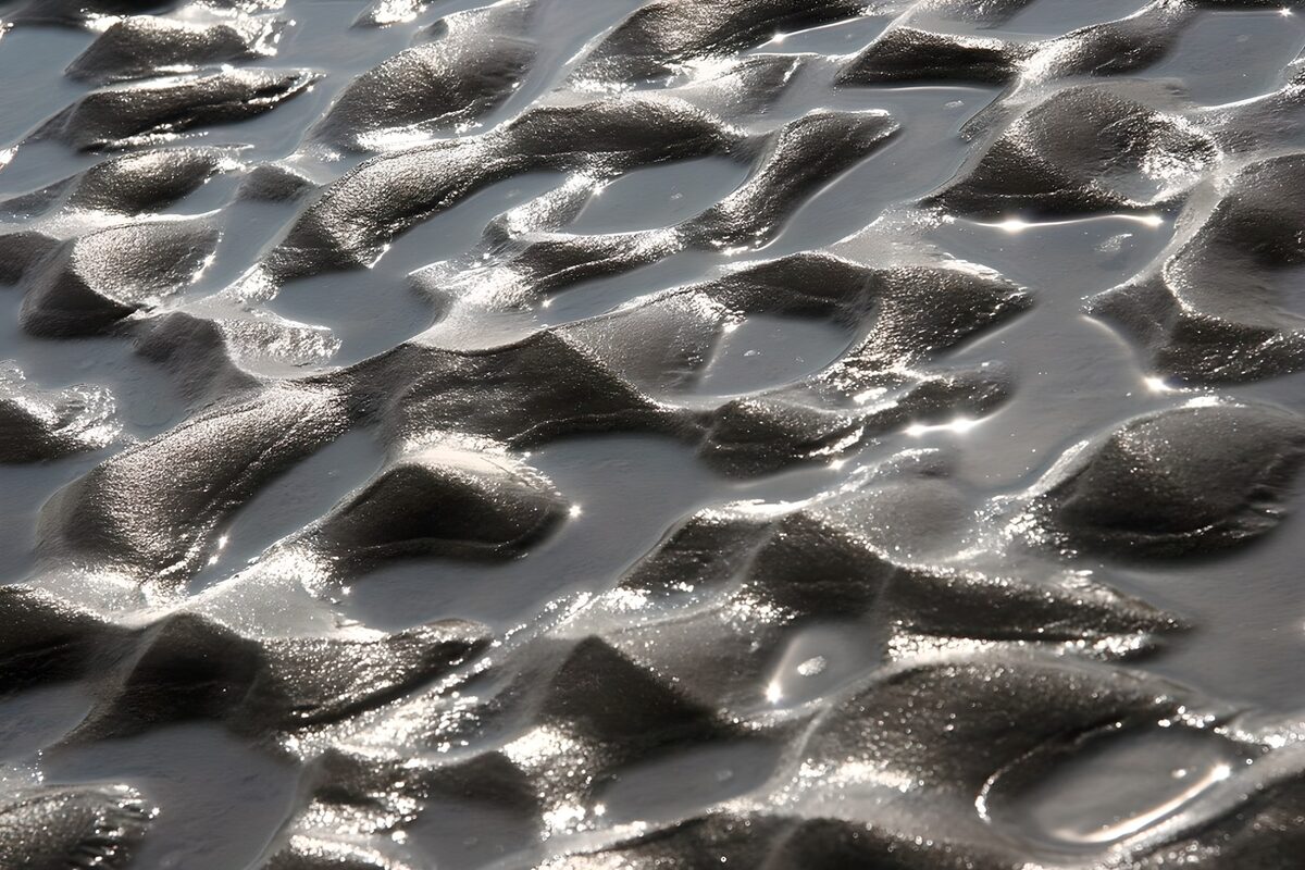 TPFR80452: Reflets sur le sable mouillé