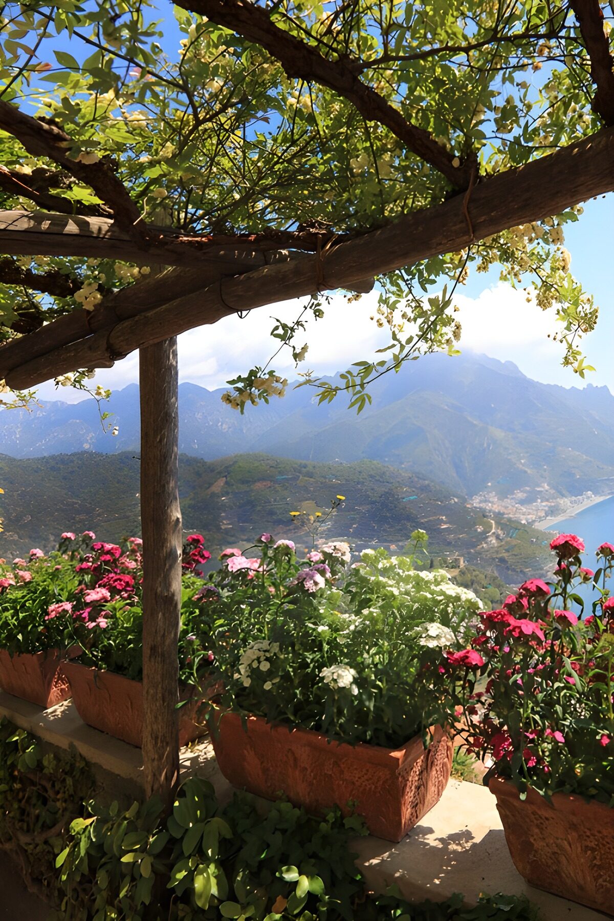 TPFR23617: Jardin fleuri avec vue sur la mer