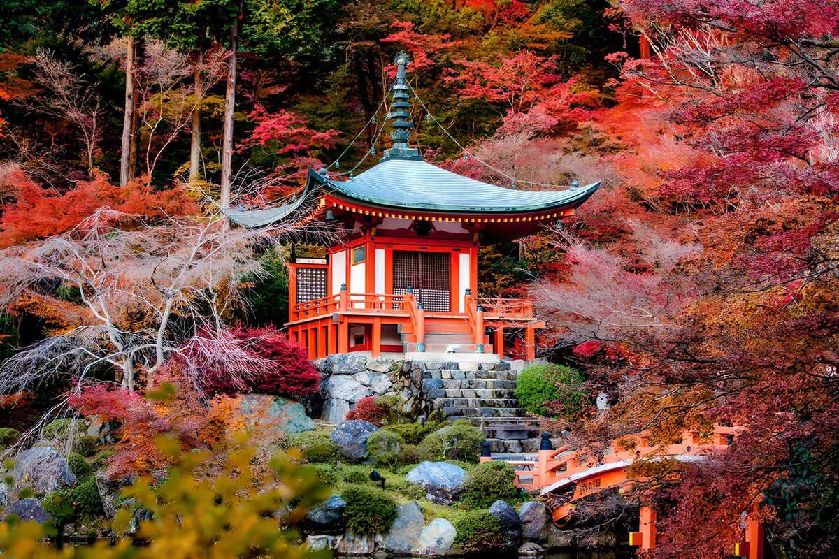 TPFR16205: Pagode en automne au Japon