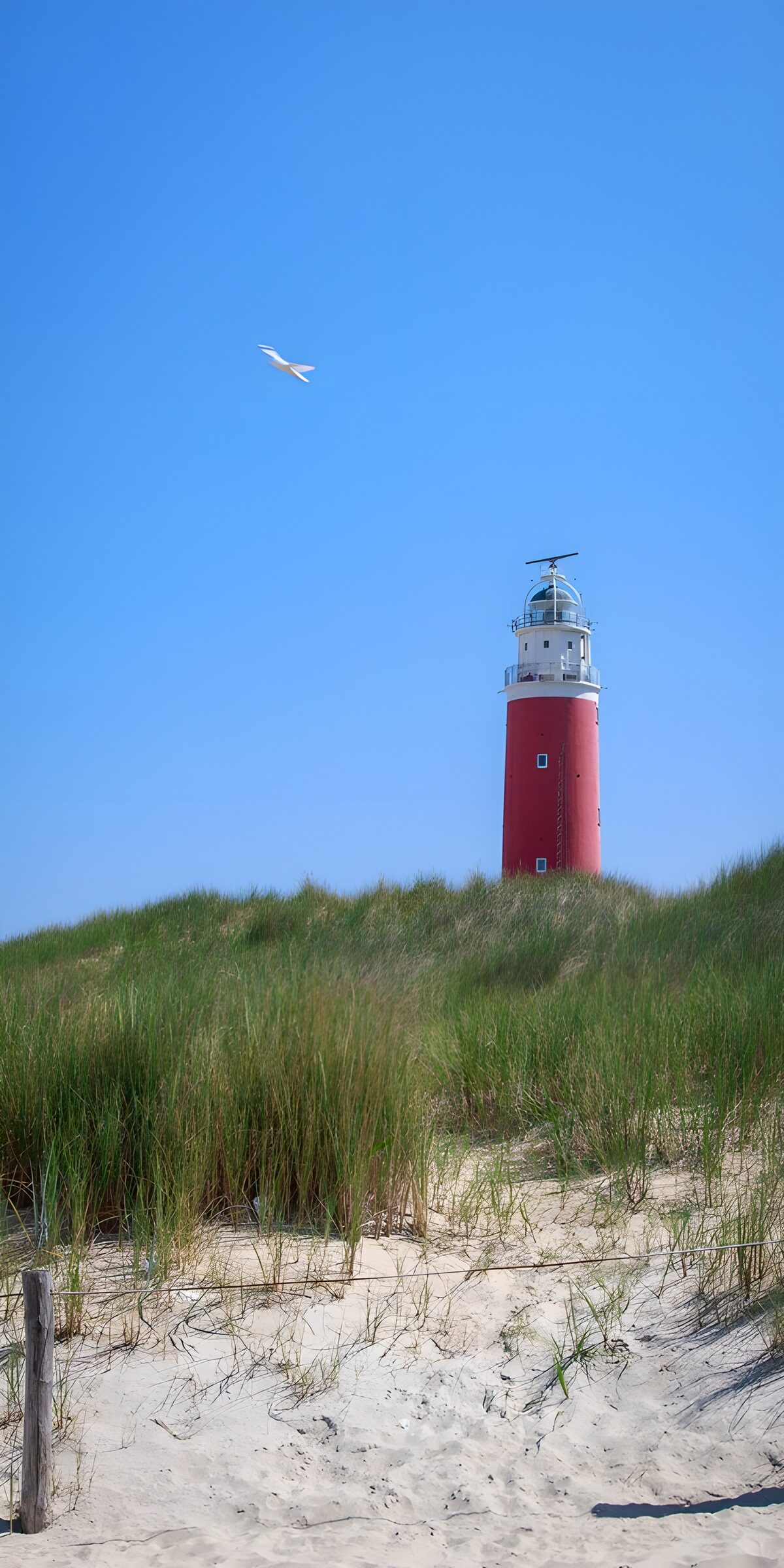 TPFR47771: Phare rouge sous le ciel bleu
