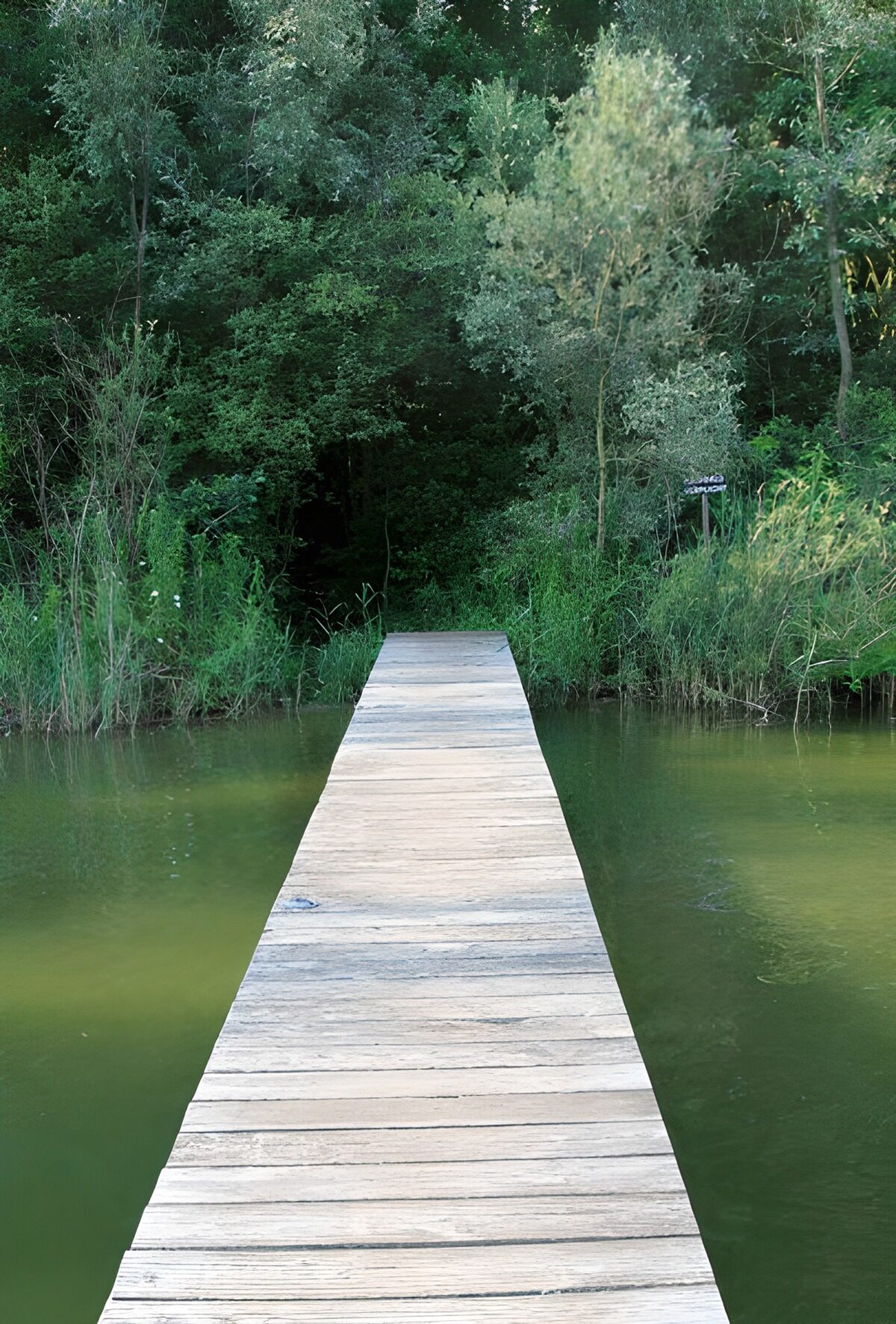 TPFR39761: Ponton sur une pièce d'eau