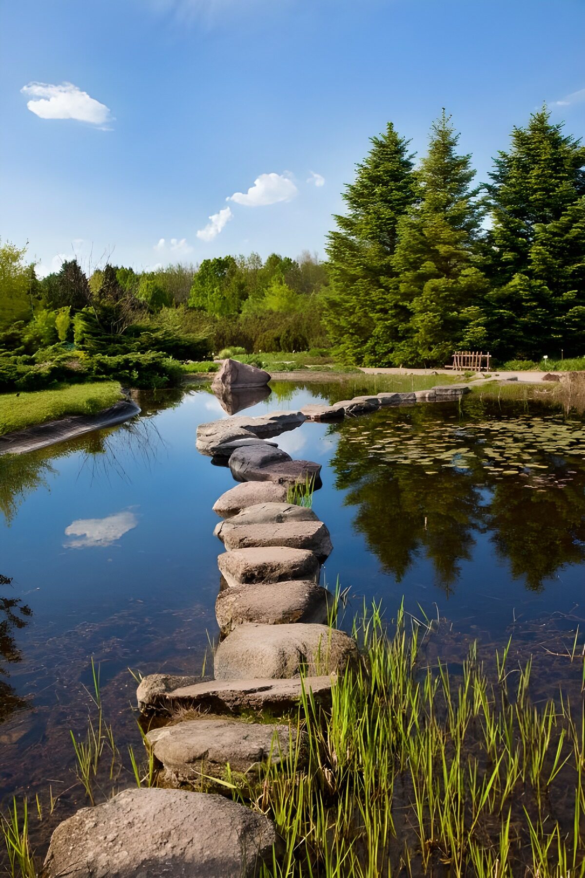 Sentier de pierres sur l'eau paisible