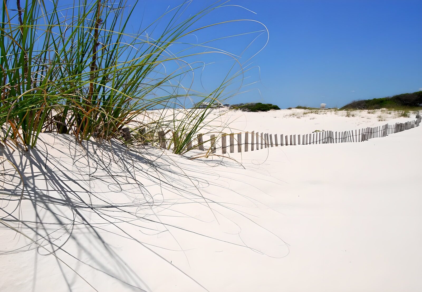TPFR20768: Plage de sable et herbes sauvages