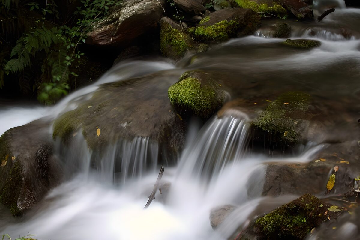 TPFR50709: Cascade tranquille au milieu de la nature