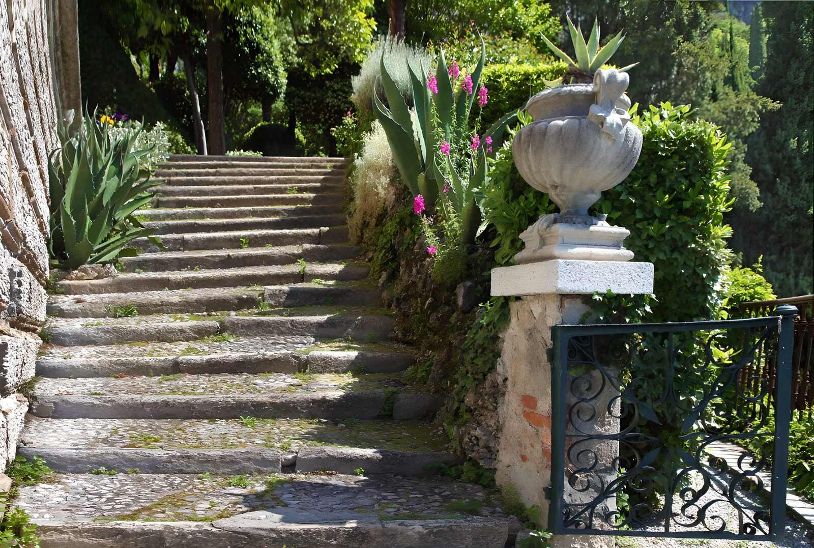 TPFR14932: Escaliers fleuris vers le jardin secret