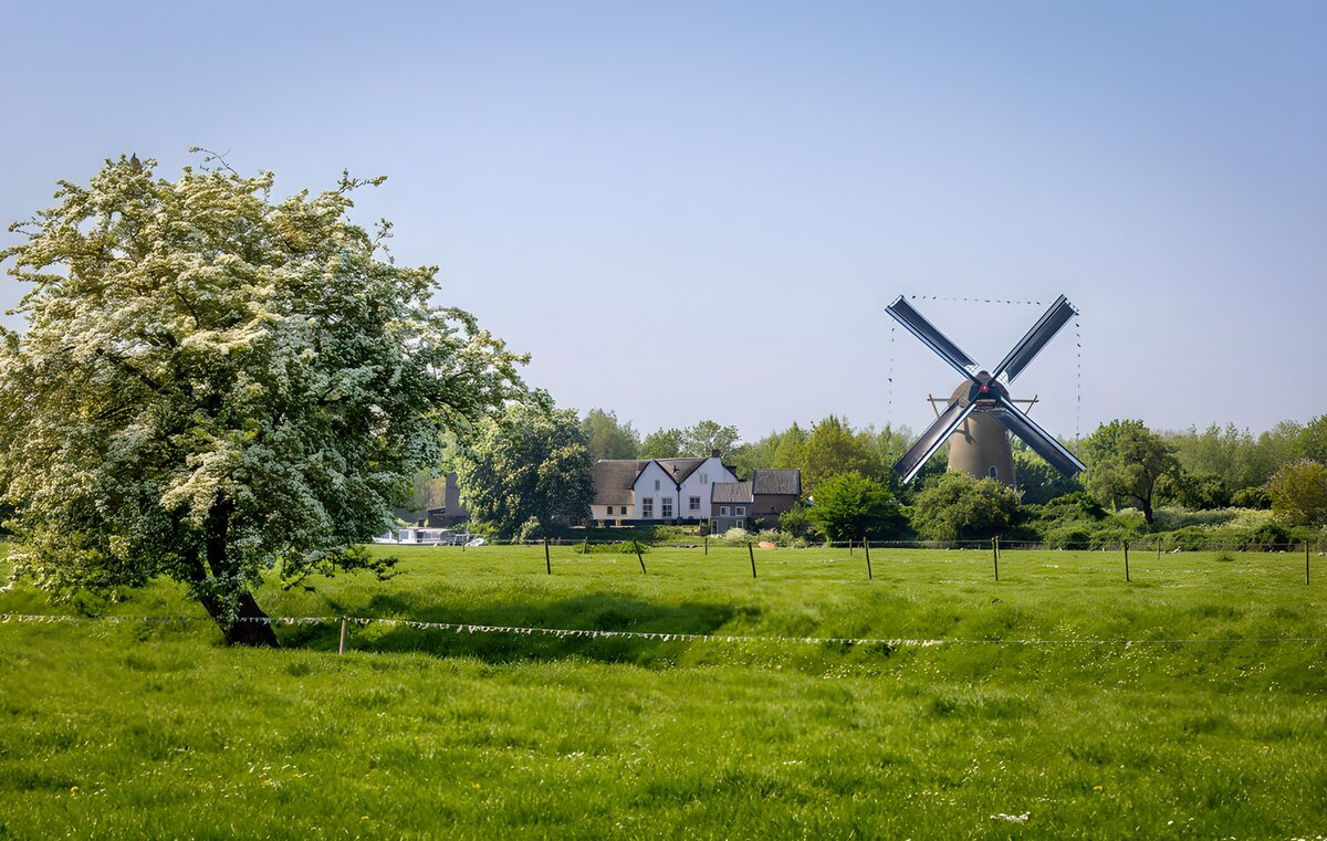 TPFR72989: Moulin dans le paysage verdoyant