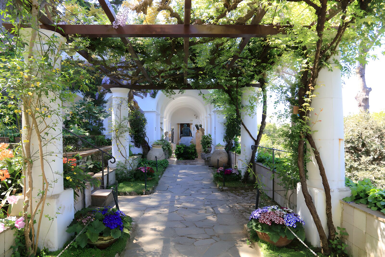 TPFR77529: Allée florale sous une pergola ensoleillée
