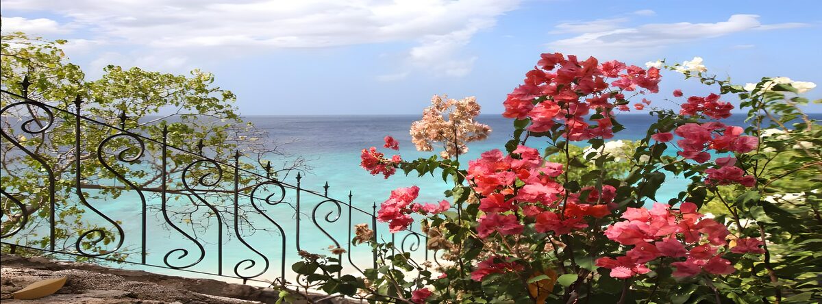 TPFR41561: Jeux de couleurs au bord de la mer